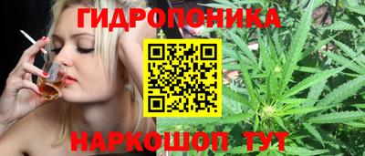 гашиш Аргун