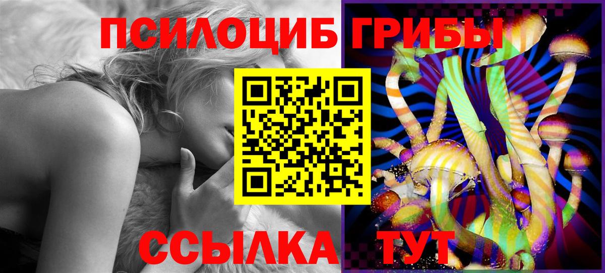 Галлюциногенные грибы мицелий  Вход с VPN  Бийск 